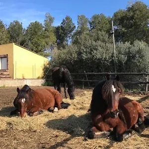 Cal Murenu Rural Torrelles de Foix
